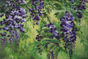 Chi Yu - Sweet Purple Clusters